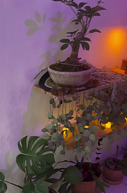 Rincón de la cabina con luz violeta, plantas y velas encendidas