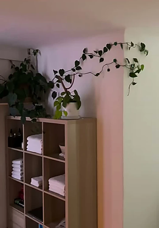 Repisa de madera con toallas blancas y plantas